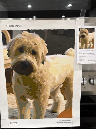 Reviewer's finished Custom Paint by Numbers Kit of a fluffy dog, shown next to the original reference photo.