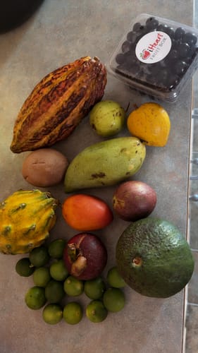 Customer photo review of Tropical Variety Box