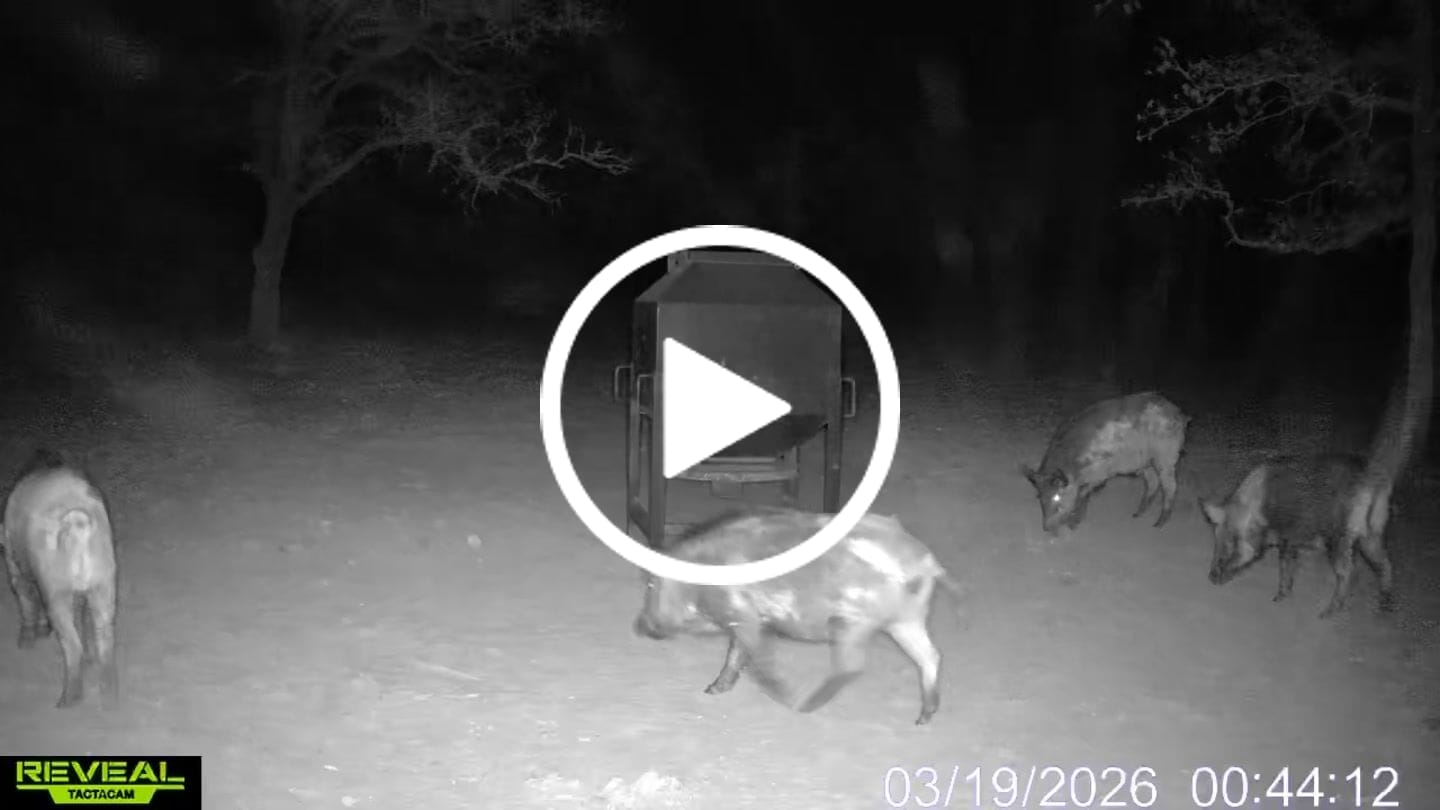 Customer video review of TACTACAM Reveal Ultra Cellular Trail Camera