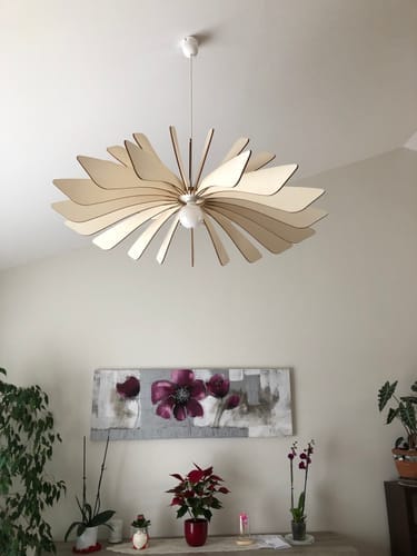 Customer photo review of Aurora teinté Chêne | Suspension