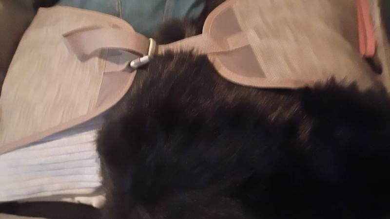 Customer photo review of Montecito 3.0 Softside Medium Check-In Expandable Spinner