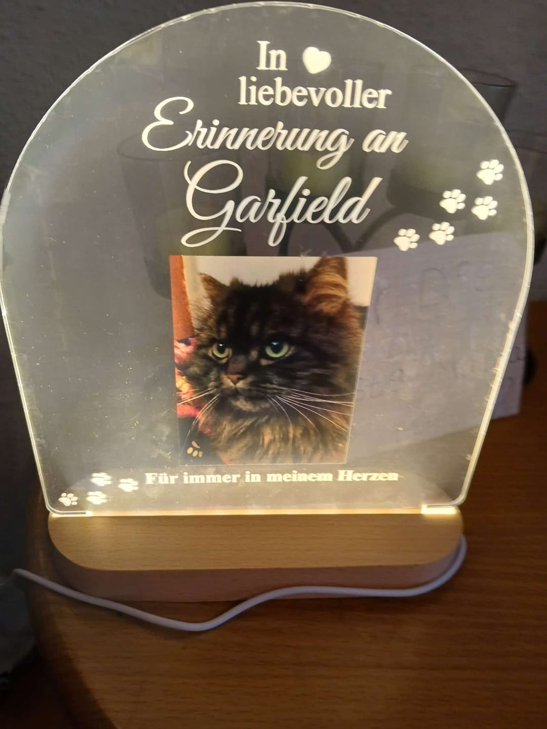 Customer photo review of Zur liebevollen Erinnerung – LED-Lampe für Hund/Katze