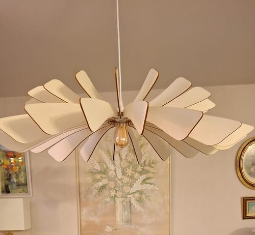 Customer photo review of Aurora teinté Chêne | Suspension