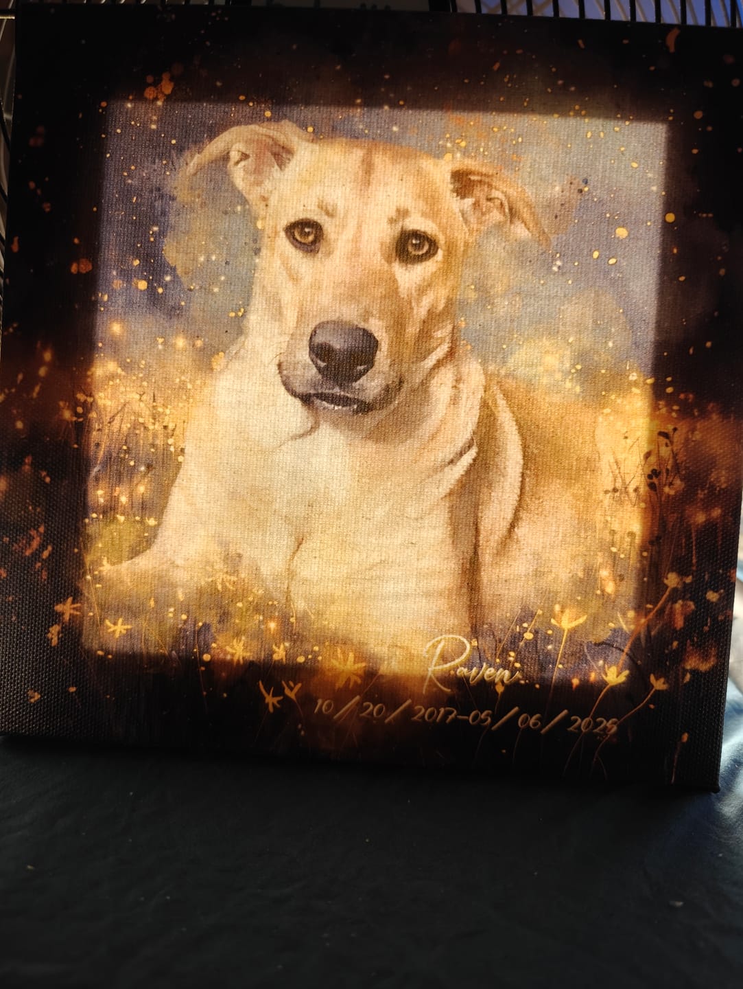Customer photo review of Custom Watercolor Pet Portrait - Top Pick