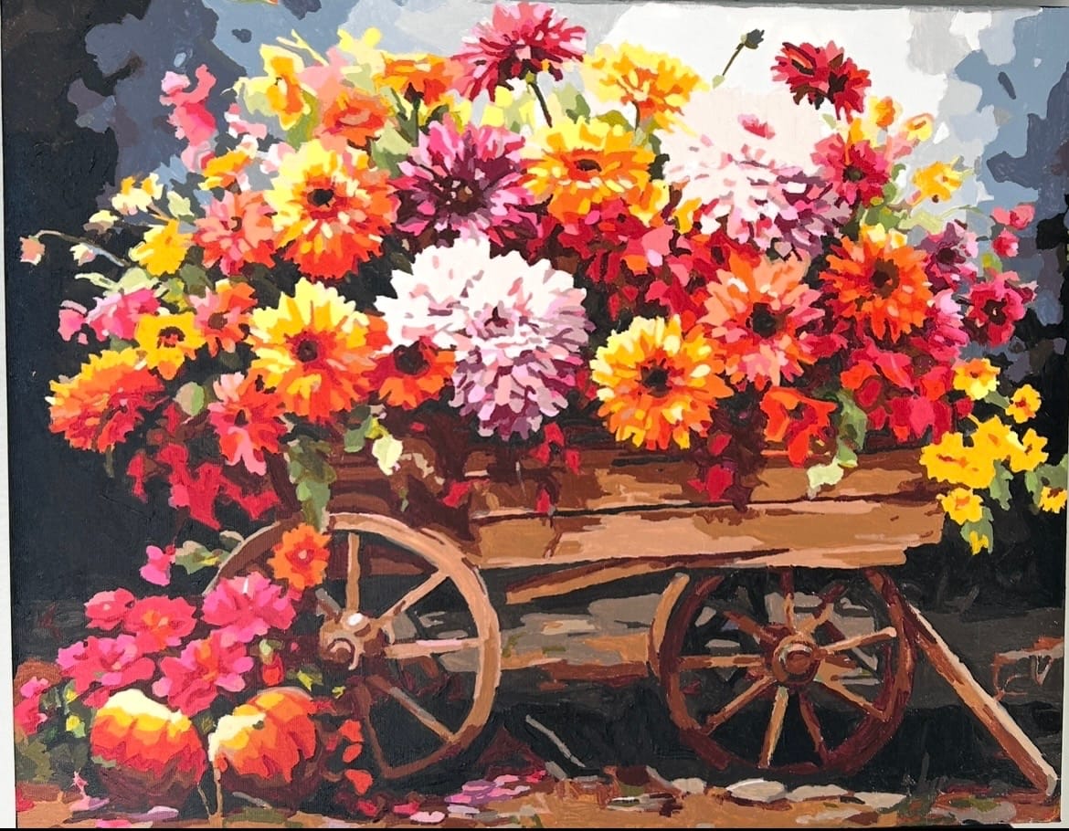 Customer photo review of Wheelbarrow Harvest