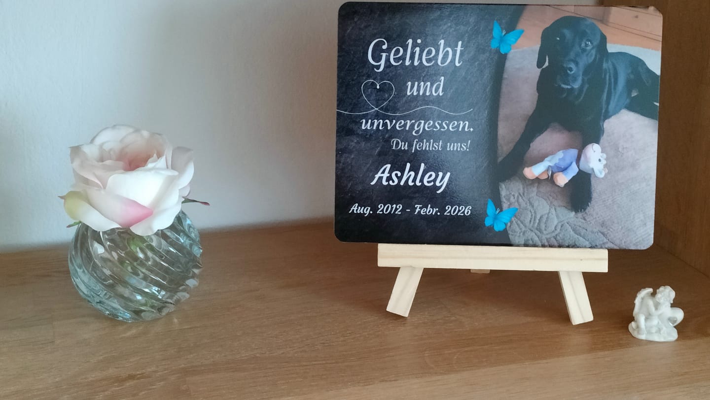 Customer photo review of Hunde Gedenktafel mit Foto & Spruch (UV- & Wetterfest)