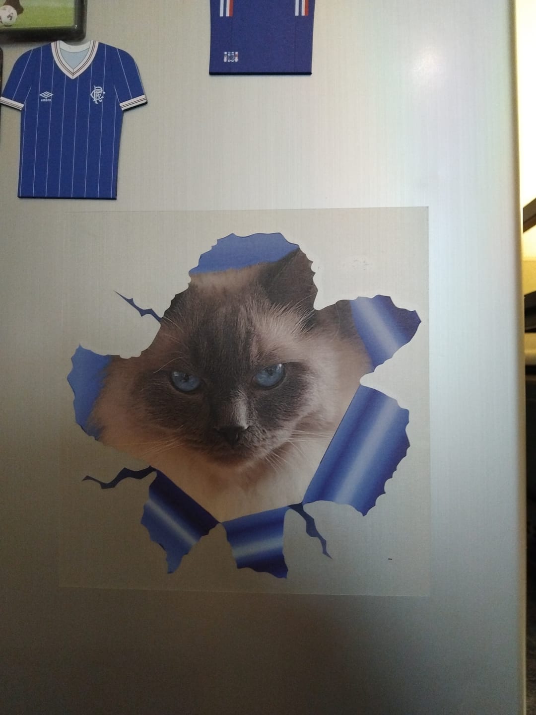 Customer photo review of Peeking Photo - Personalised Car Sticker