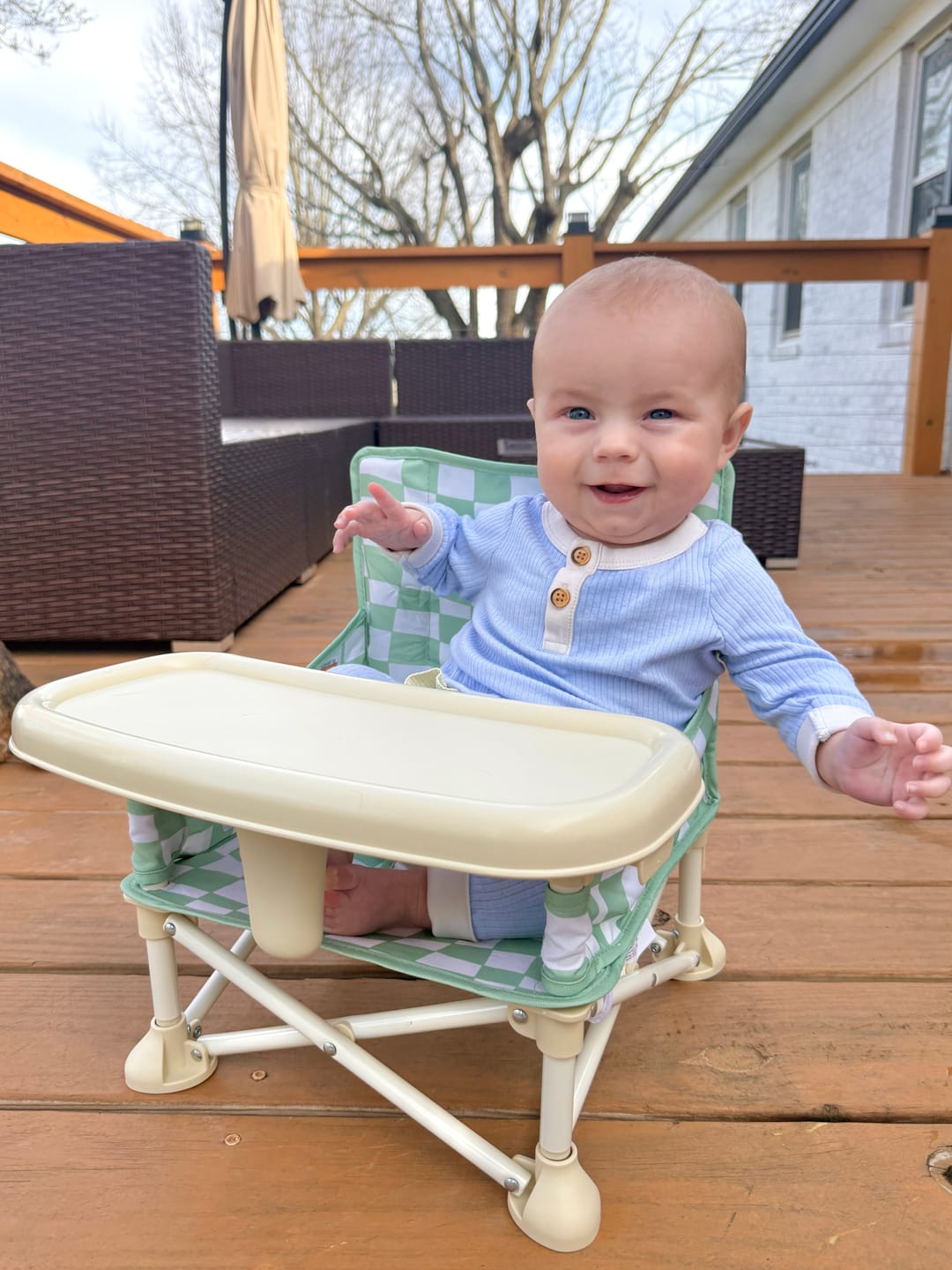 Customer photo review of Parker portable booster chair
