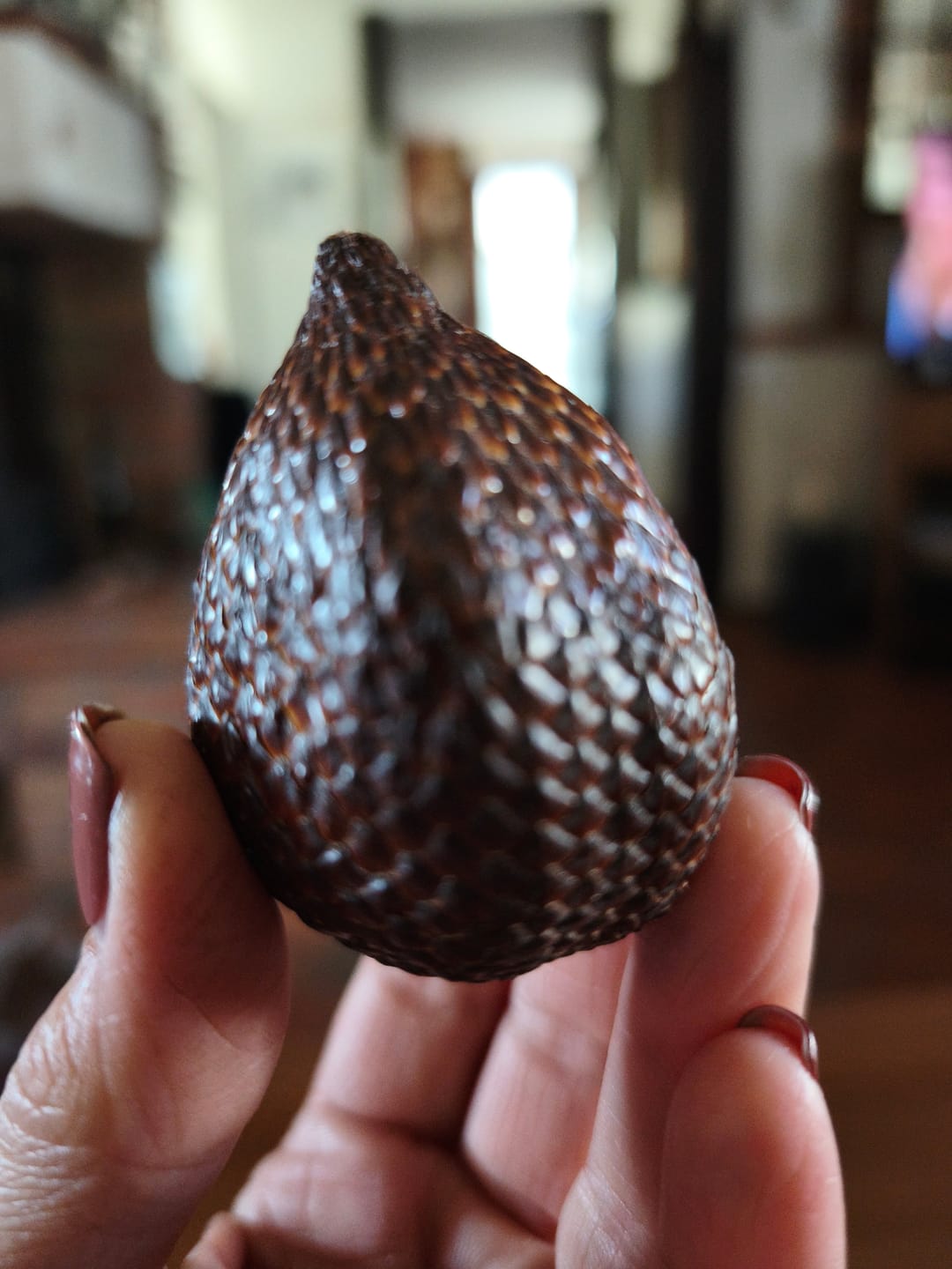 Customer photo review of Salak (Schlangenfrucht) naturbelassen