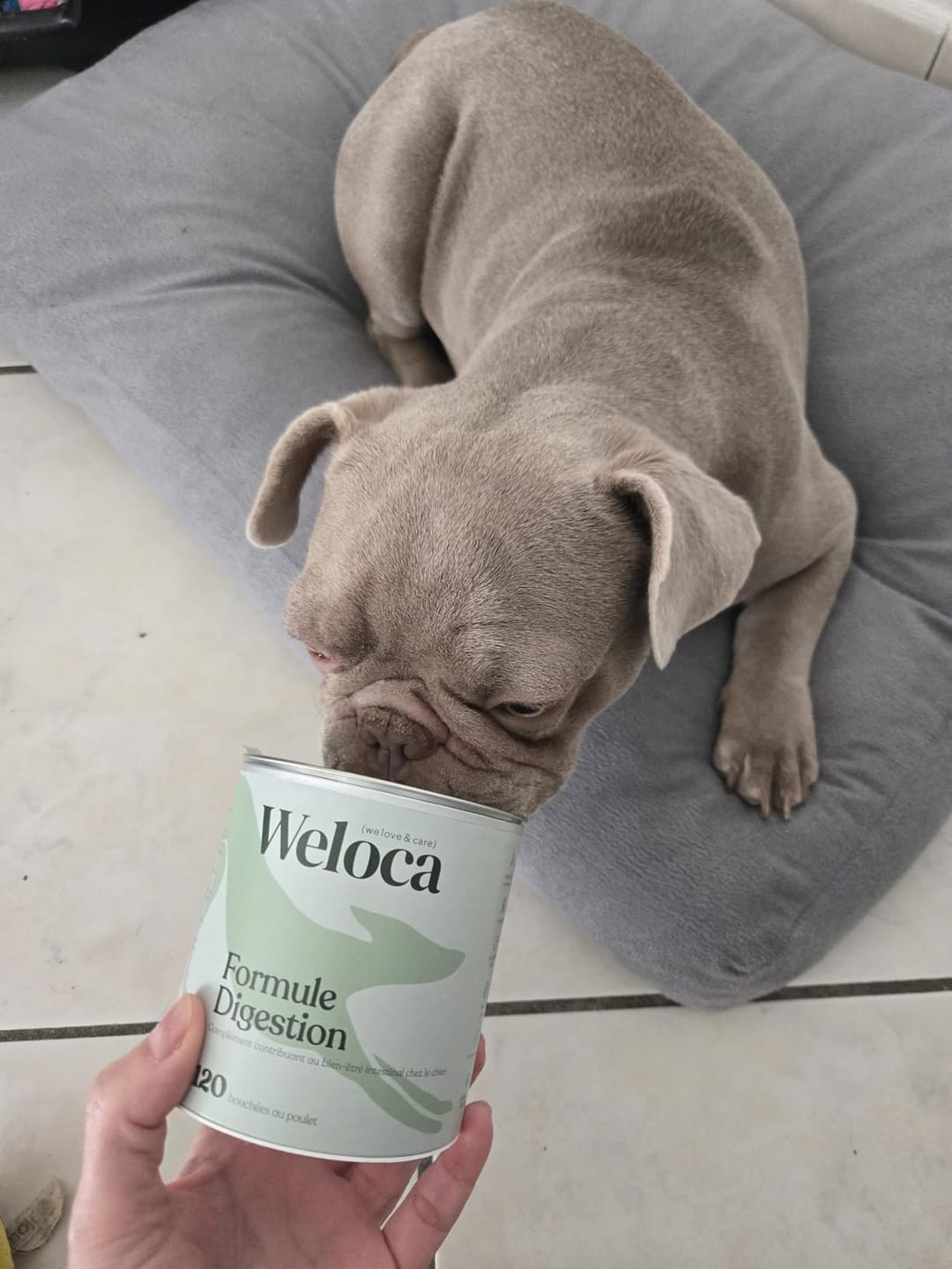 Customer photo review of Complément digestion