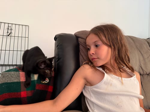 Customer photo review of Fit Litter