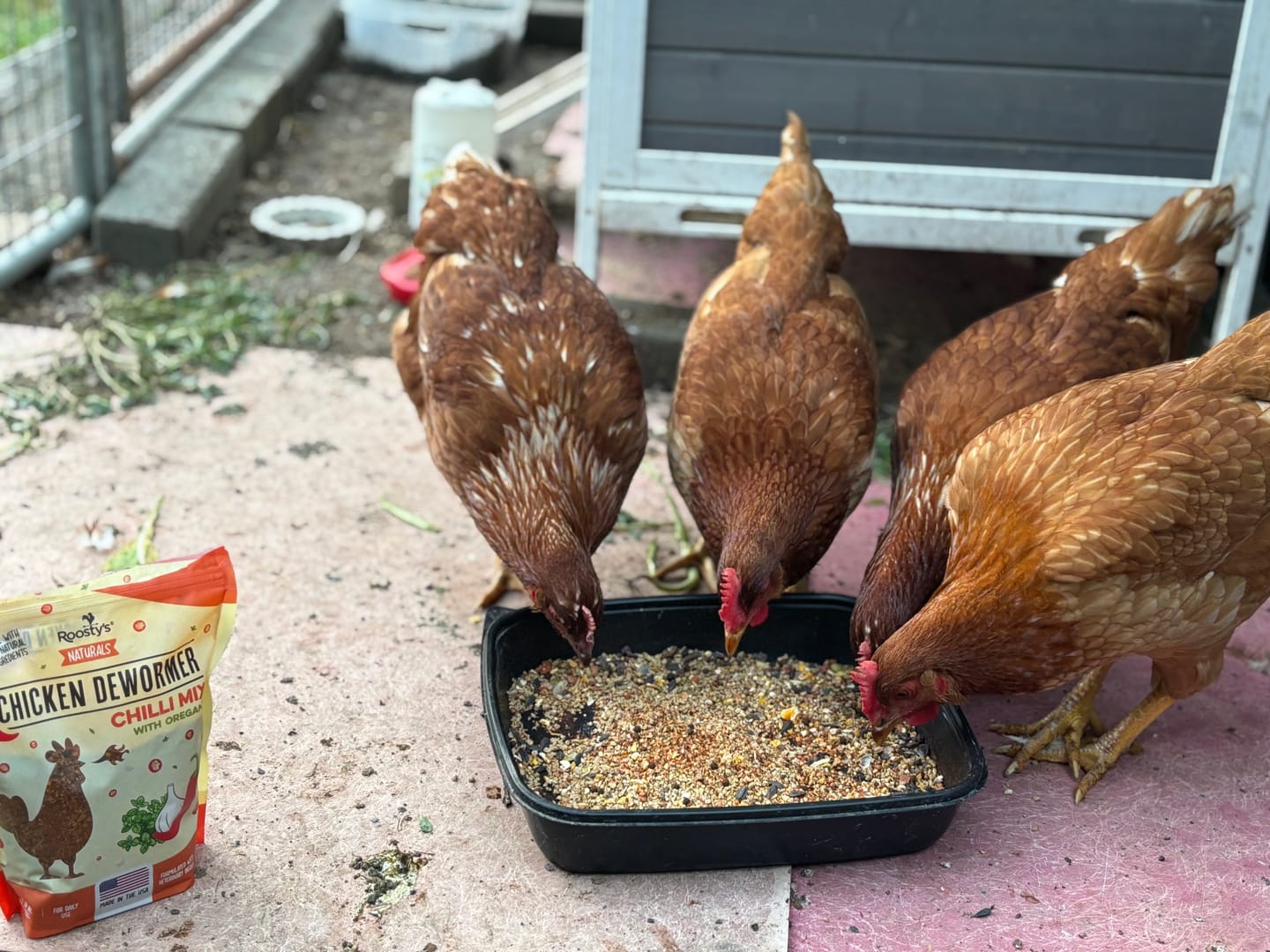 Reviewer's chickens eating from a feed tray next to the bag of Daily Deworm + Gut Support.