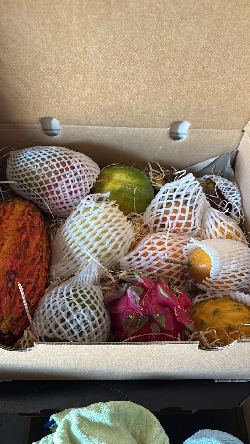 Customer photo review of Tropen-Weltreise Exotenbox