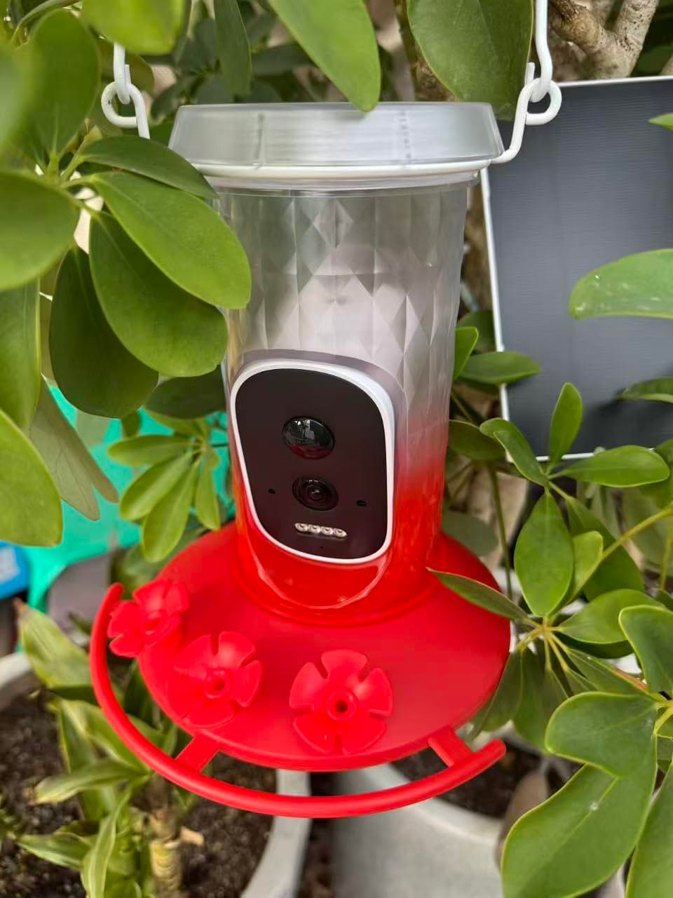 Customer photo review of VINGUYS Smart Hummingbird Feeder