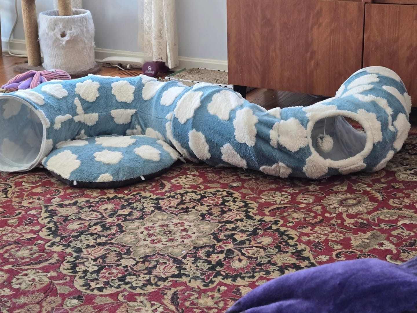 Customer photo review of Dachshund Tunnel Bed