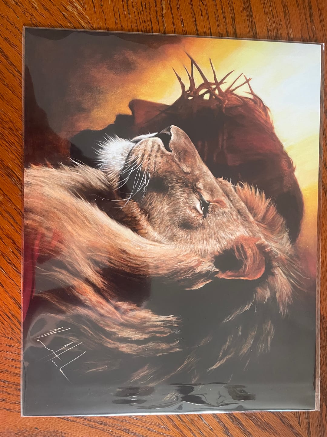 Customer photo review of The Lion of Judah™