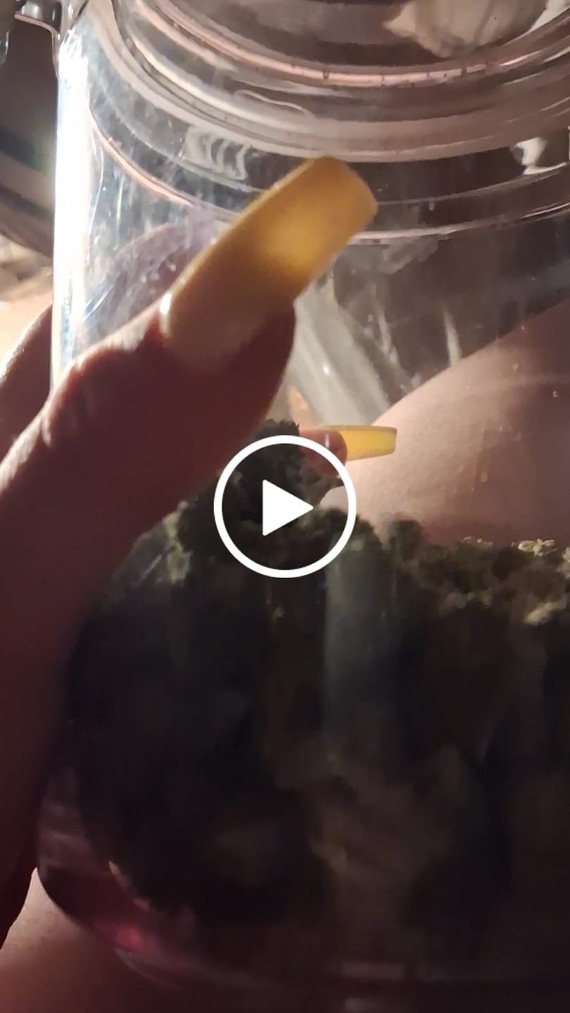 Customer video review of FREE 3.5g Indoor Small  (New Customer Exclusive)