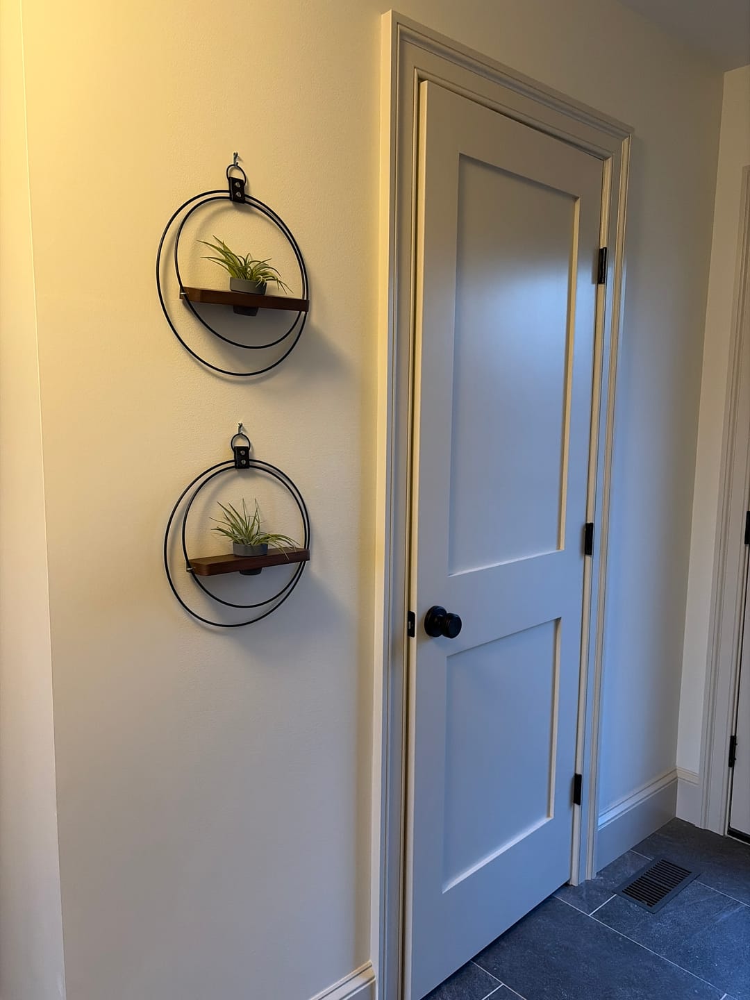 Customer photo review of Air Plant Shelf + Pot Duo