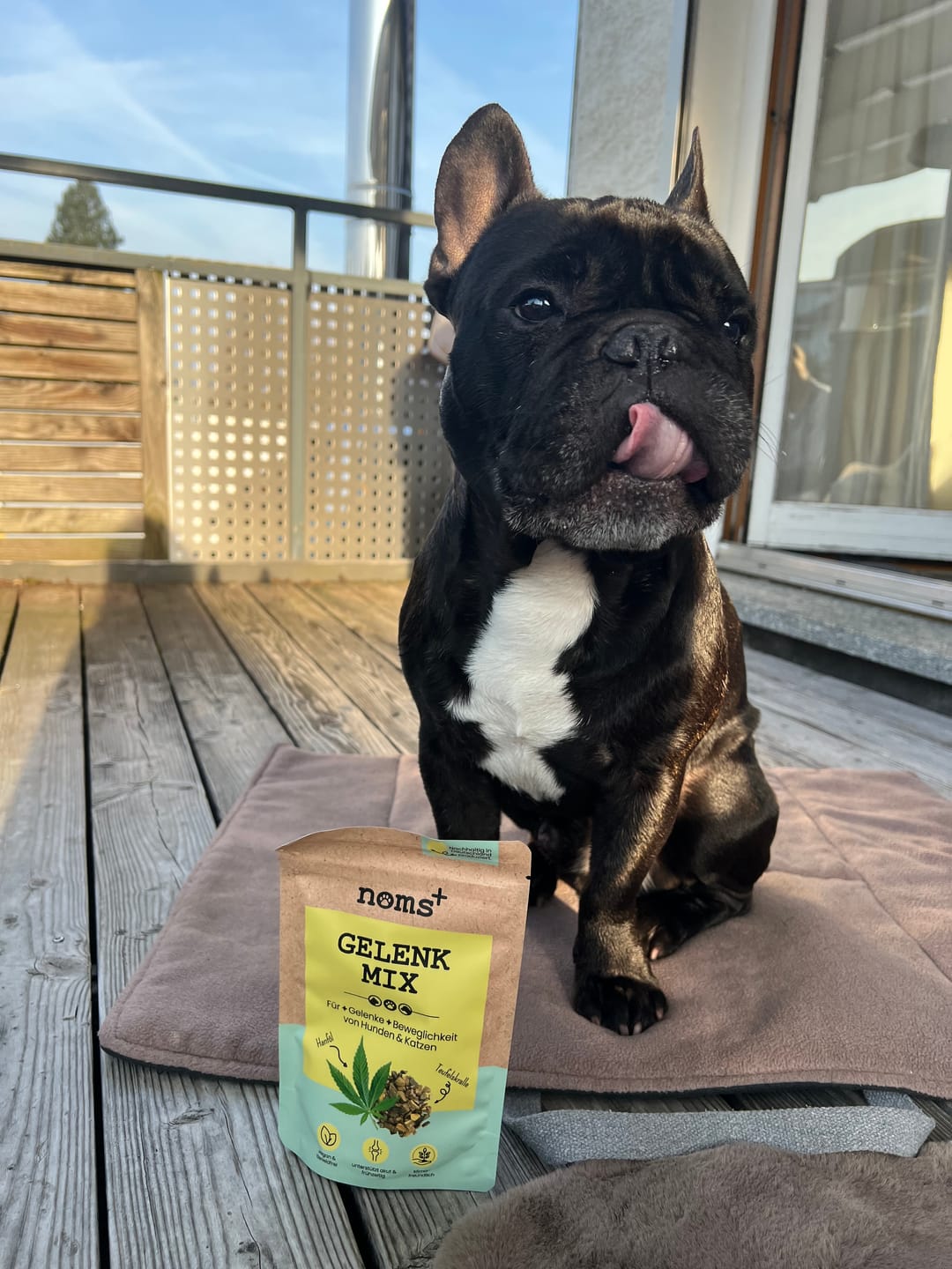 Customer photo review of Gelenkmix Sensitiv & vegan für Hunde und Katzen mit Teufelskralle, Kurkuma & Glucosamin