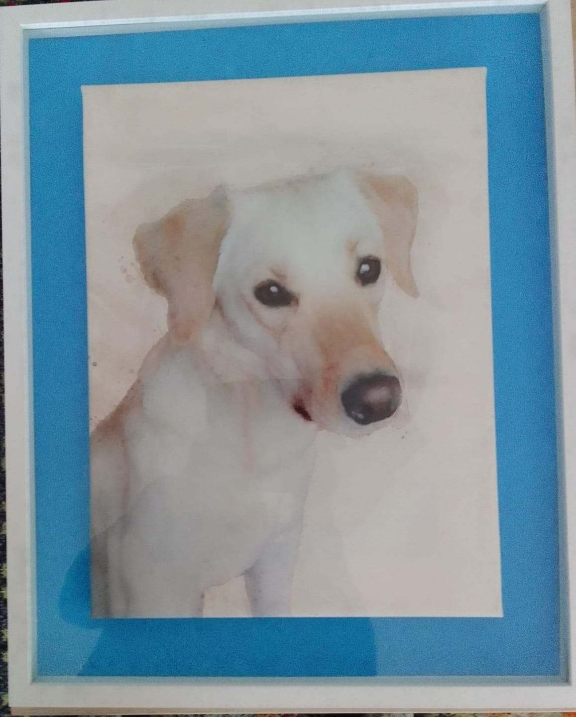 Customer photo review of Hundeportrait nach Foto