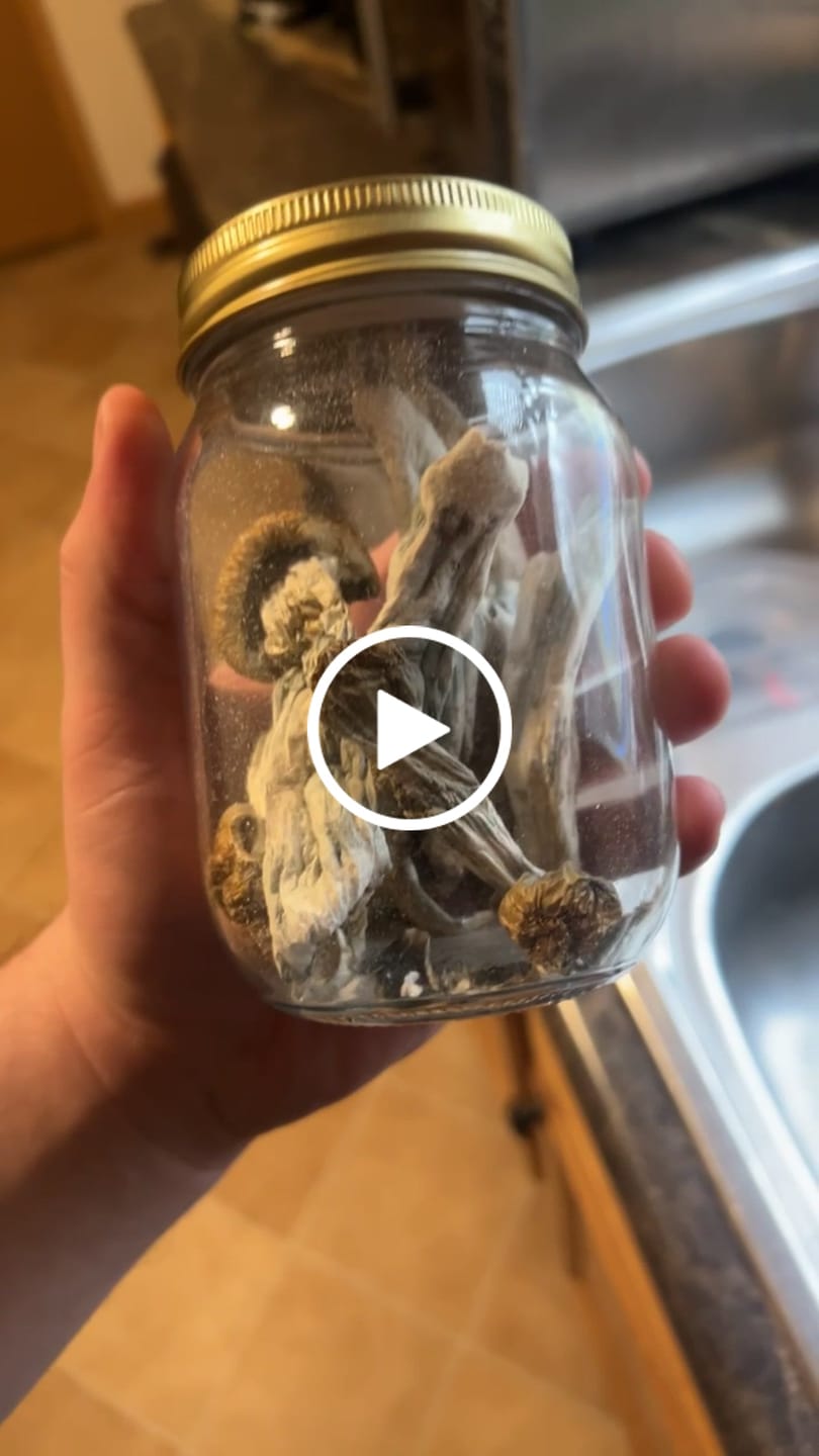 Customer video review of Non Detect Raw Mushrooms
