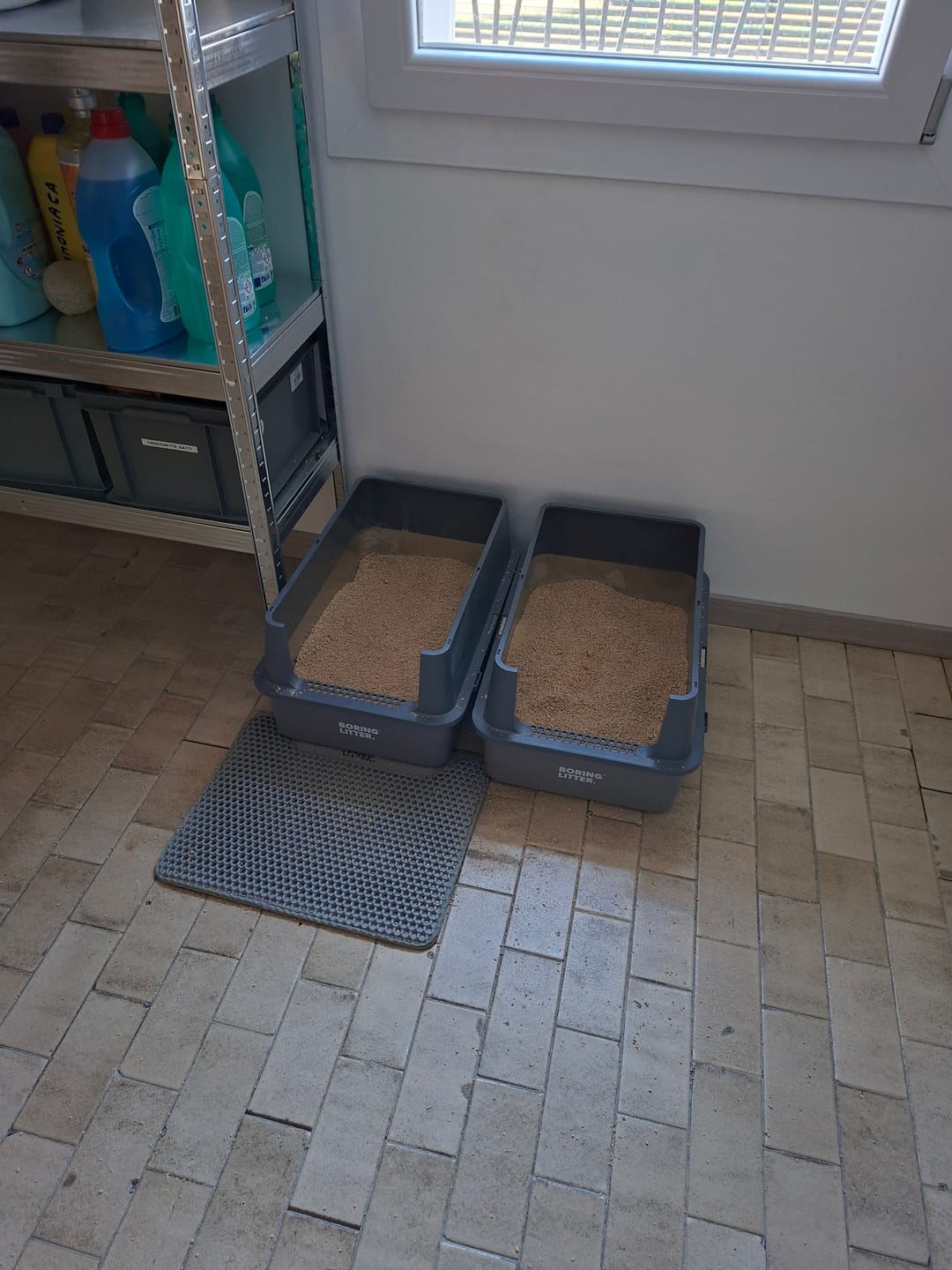 Customer photo review of Boring Litter - Lettiera in Acciaio INOX (Versione Aperta)