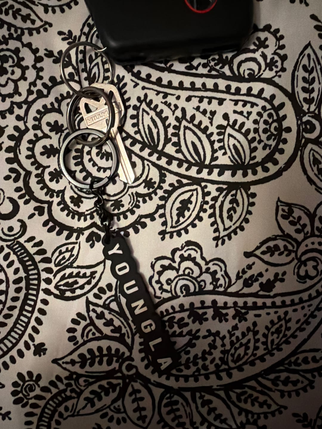Customer photo review of 931 YoungLA Keychains