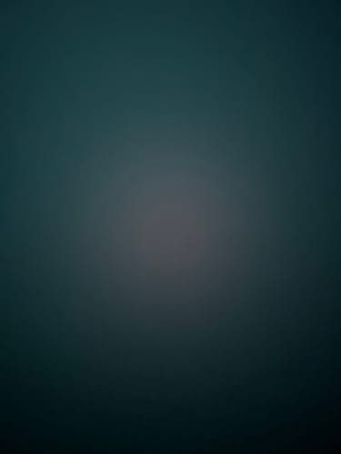 Customer's dark, blurry photo submitted for the Custom Photo Engraved Pendant Necklace.