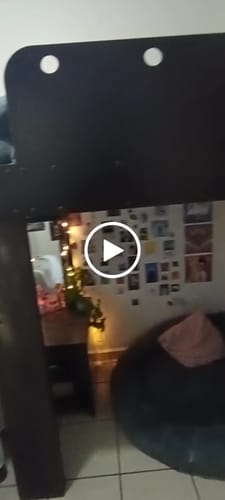 Customer video review of Cama Antiestrés para Perros