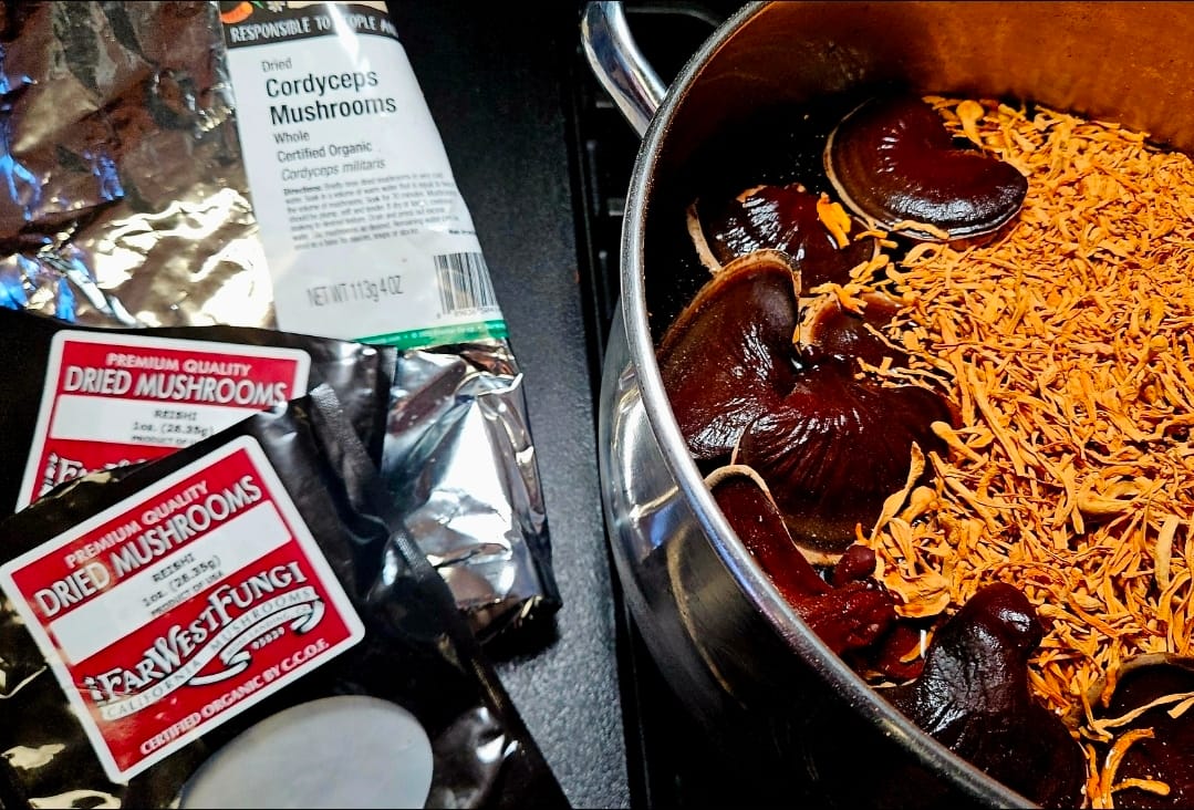 Customer photo review of Dried Cordyceps