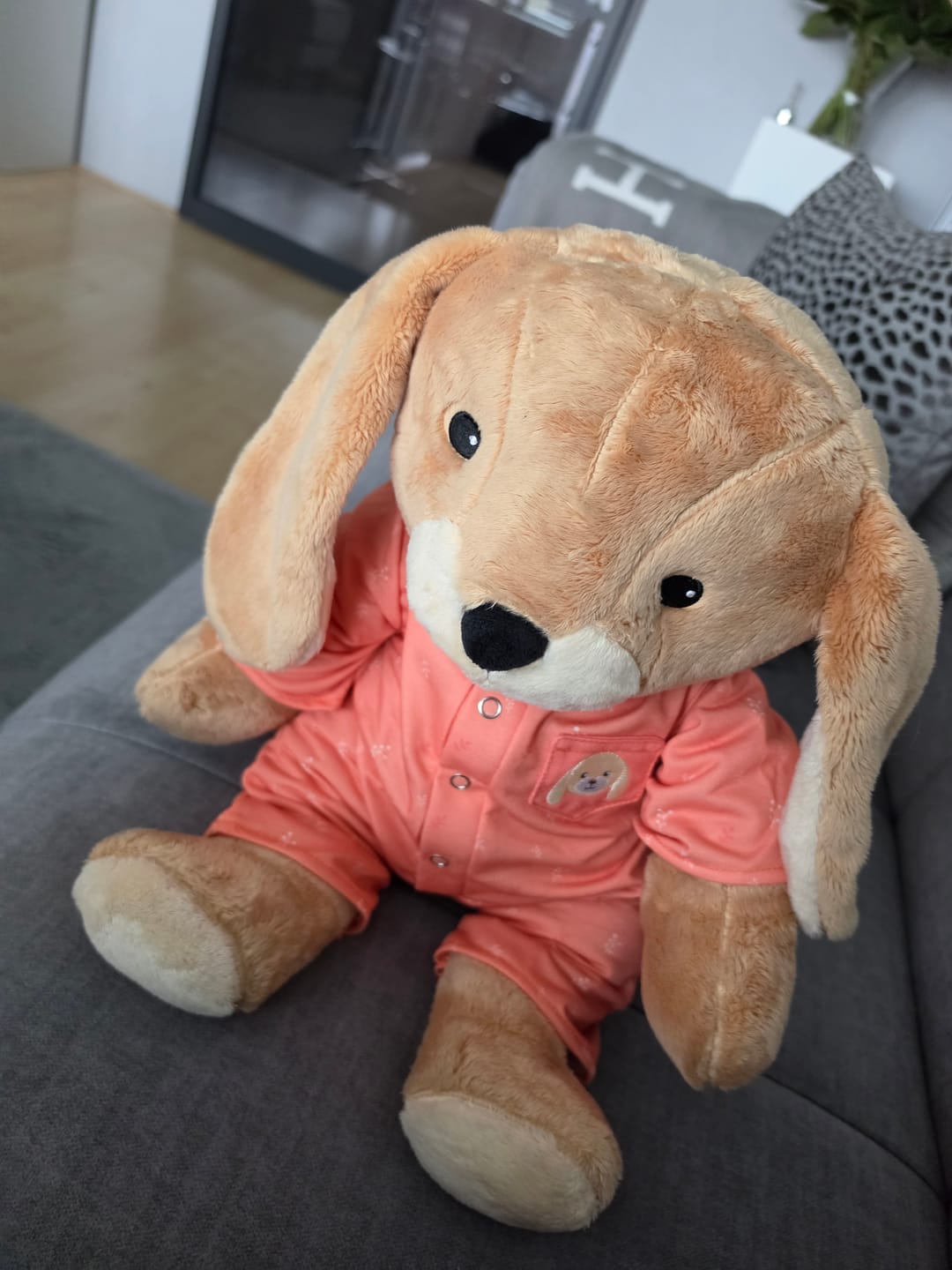 Customer photo review of Konijn Kleding 2.0 Lotgenootje