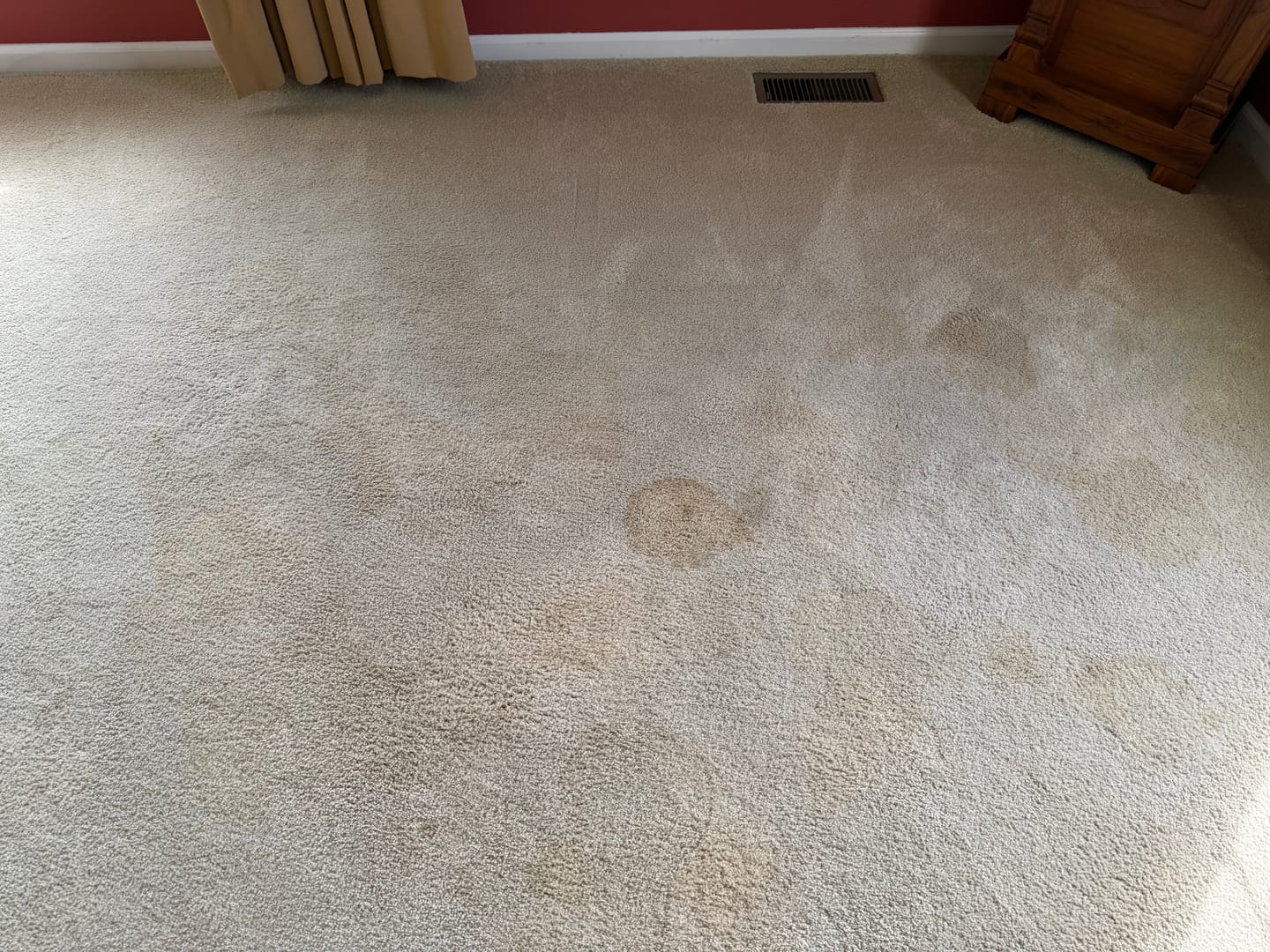 Customer photo review of ~ Releasit Bio-Encap GREEN Encapsulation Detergent - 1 Gallon [Encap]