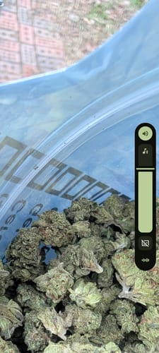 Customer photo review of Cheap THCA Smalls Quarter Pound