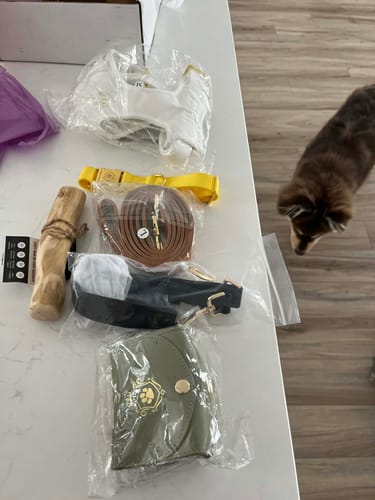 Customer photo review of Mystery Box - Dog