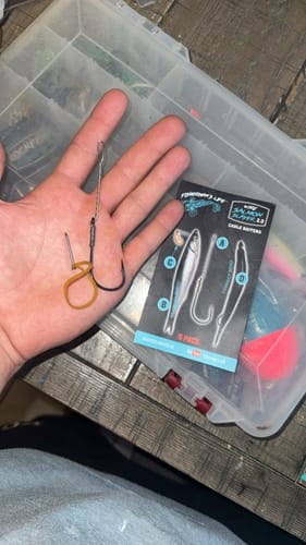 Customer photo review of Fisherman's Life® Cable Baiters 5/0 Wide Gap Hooks For Salmon Fishing