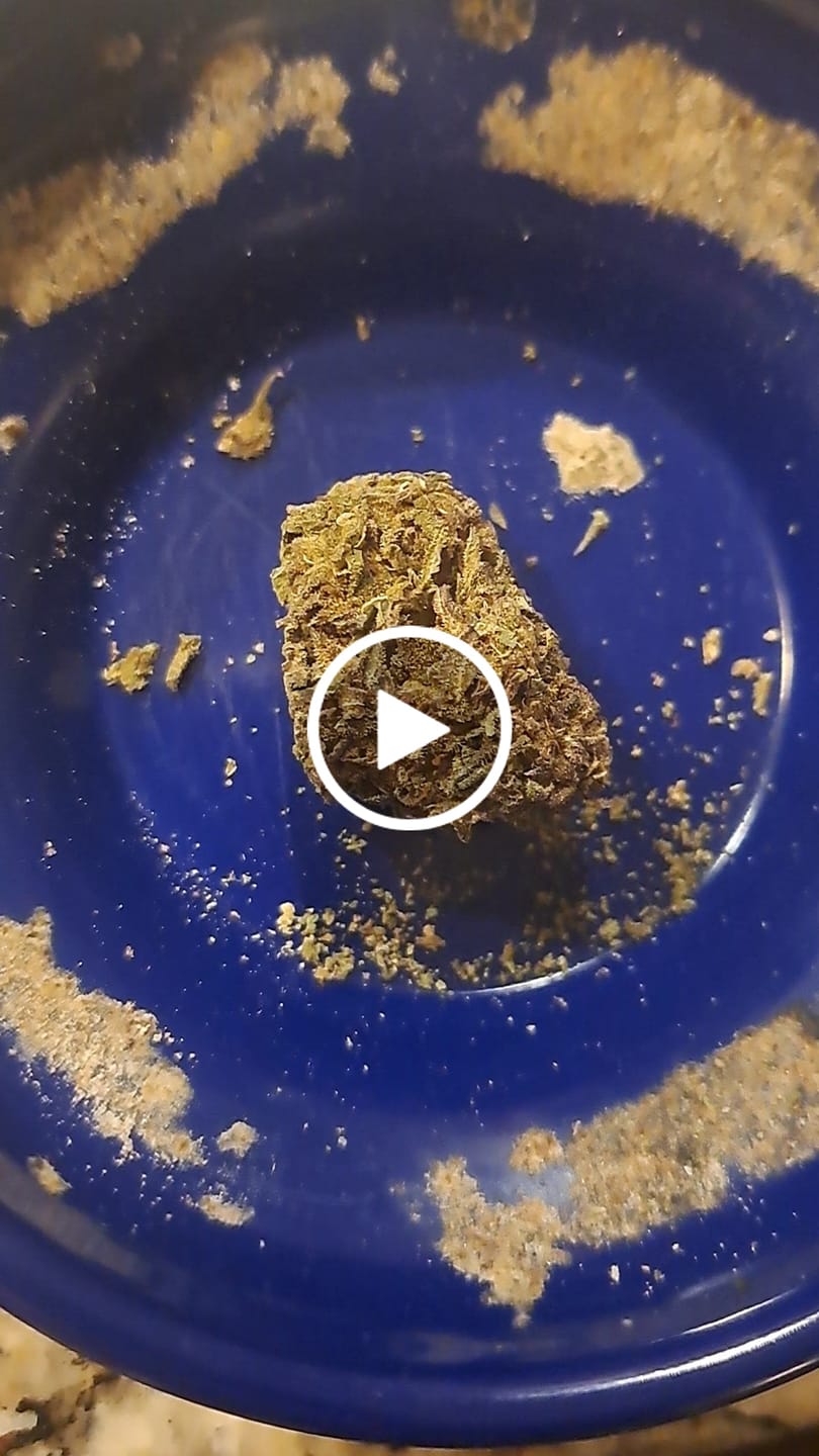 Customer video review of Greenhouse Flower