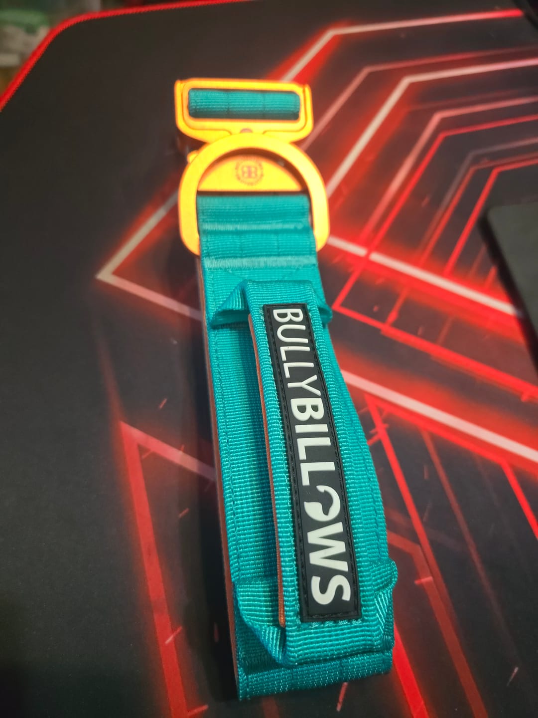 Customer photo review of 5cm Lighter Combat® Collar | With Handle Secure Clip - Turquoise x Orange