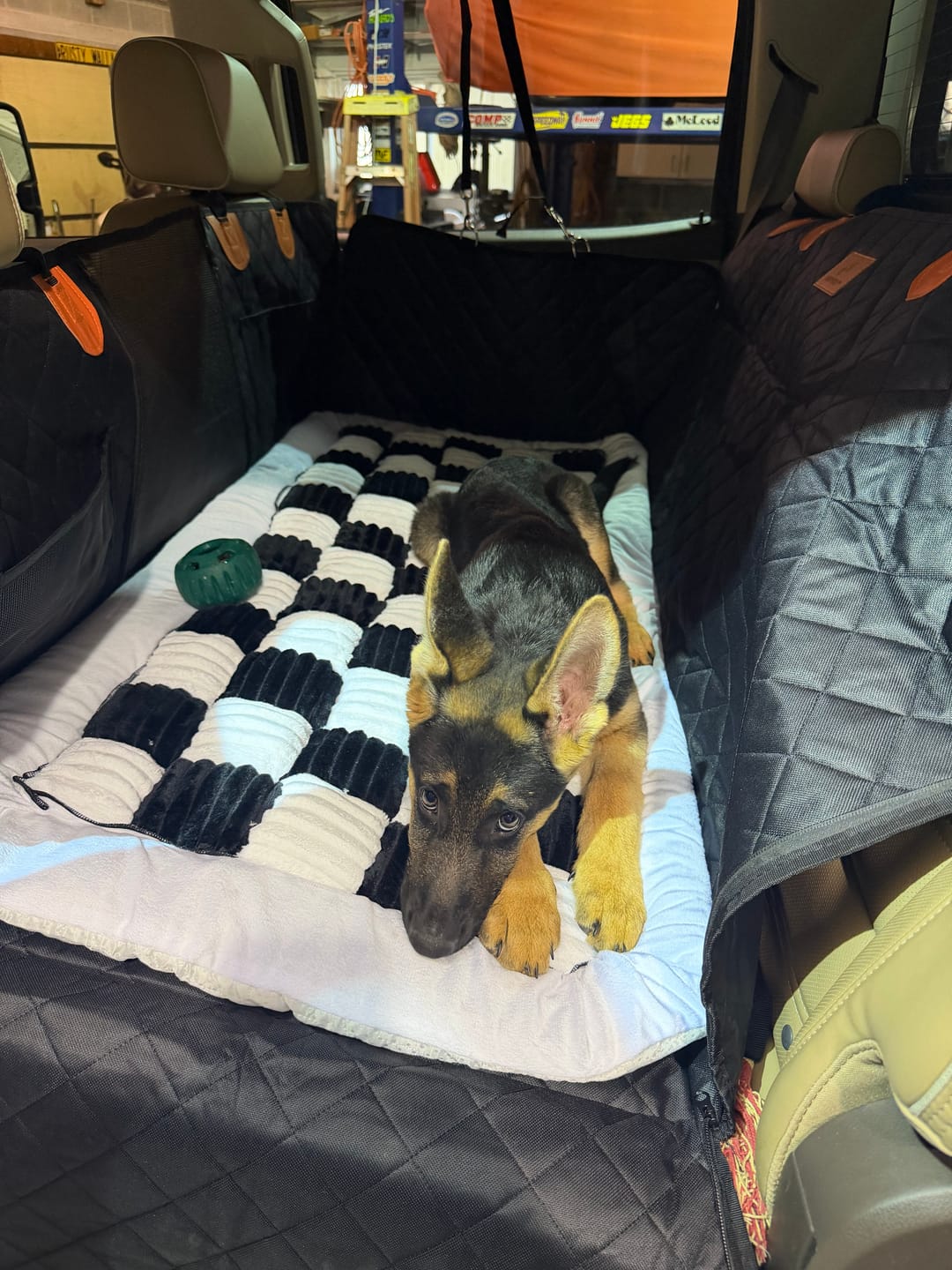 Customer photo review of CozyRider™ 2.0