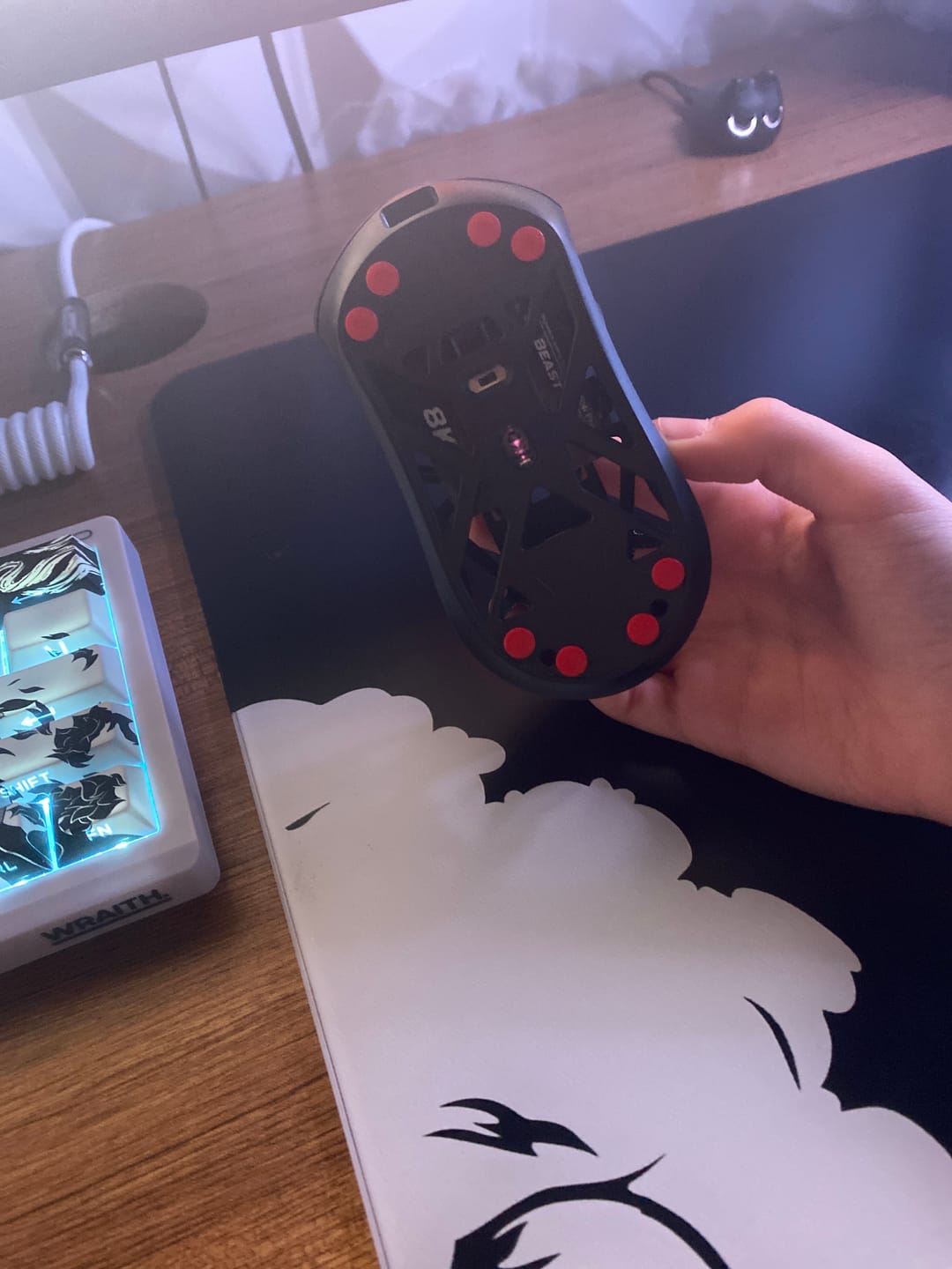 Customer photo review of X-Raypad Obsidian Mouse Skates