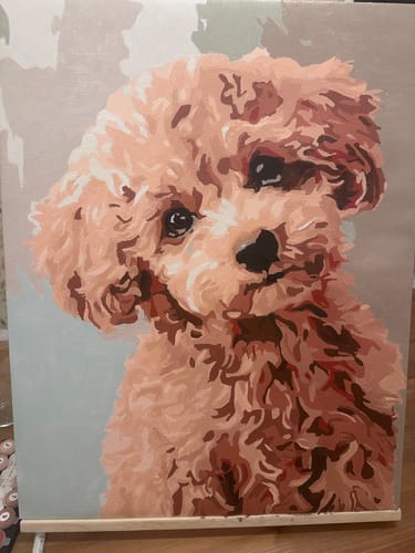 Customer photo review of Sweet Poodle