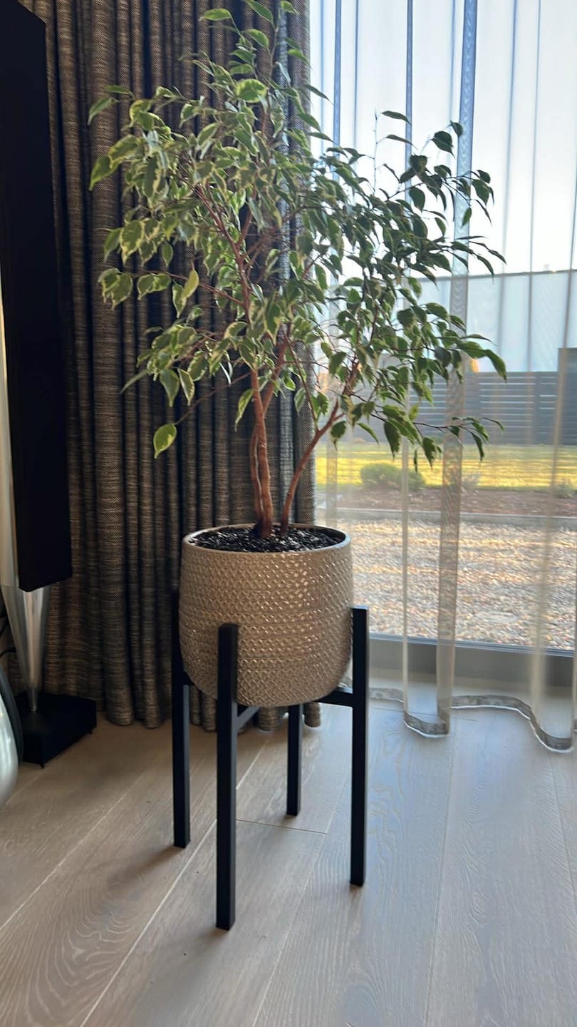 Customer photo review of Juodasis šokoladas "Rūta" (85%)