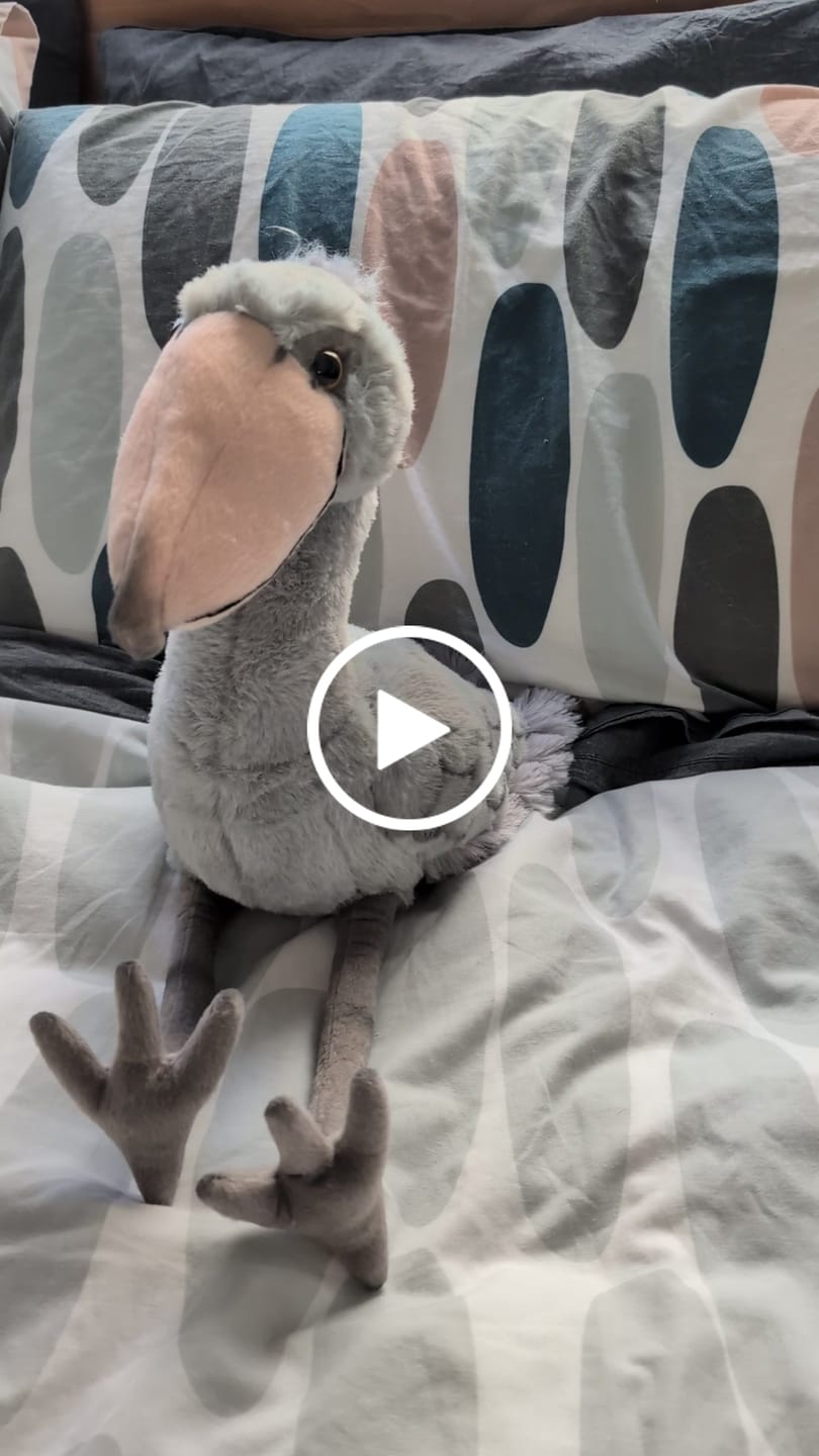 Customer video review of Shoebill Stork Bird Soft Stuffed Plush Toy