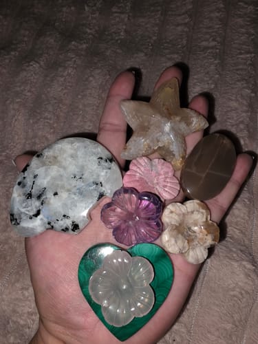 Customer photo review of klass