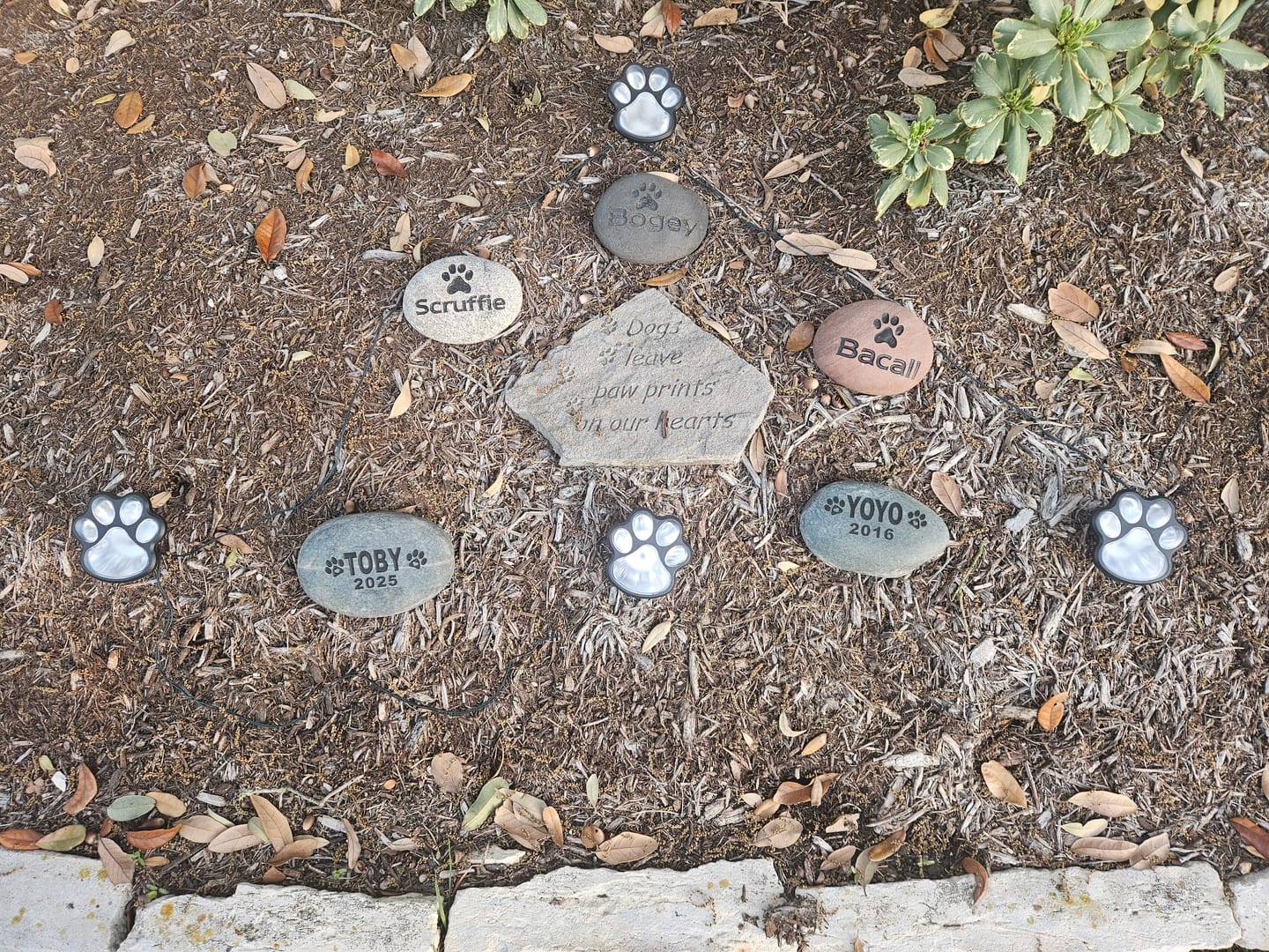 Customer photo review of Pet Grave Marker   Custom Engraved Pet Memorial Stone Paw Prints