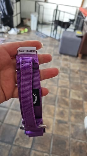 Customer photo review of 4cm Combat® Collar | Handle & Rated Clip - Purple