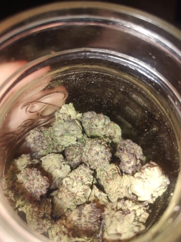 Customer photo review of GDP THCA Flower