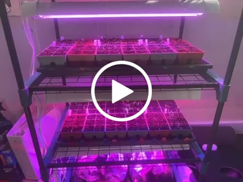Customer video review of Seed Starting Kit