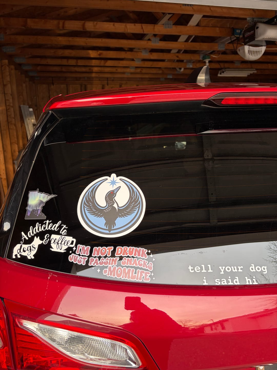 Customer photo review of Large Rebel Loon Vehicle Decal Sticker