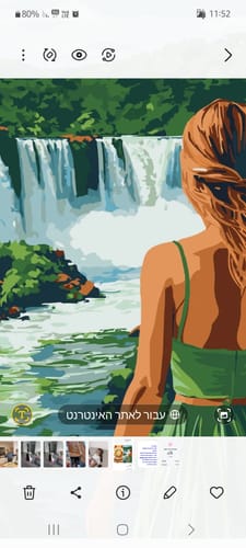 תמונת ביקורת של הציור המוגמר מערכת הצביעה לפי מספרים, ובה נראית אישה מול מפל.