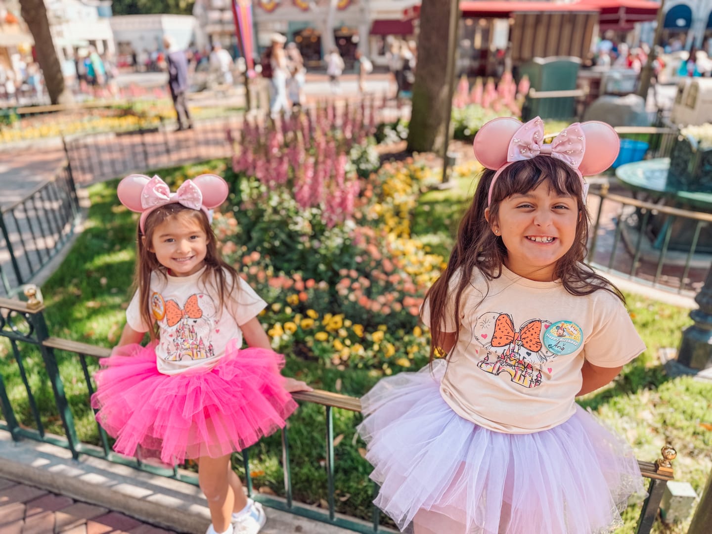 Customer photo review of Magical Dream Preset Collection